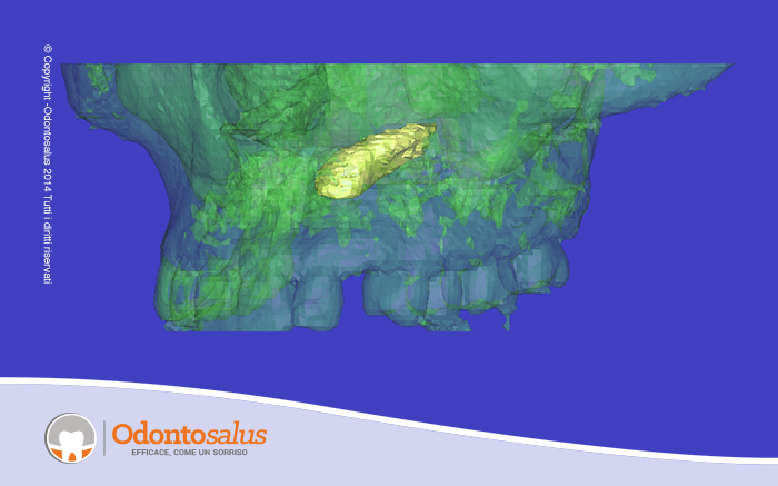 agganciocaninoincluso03