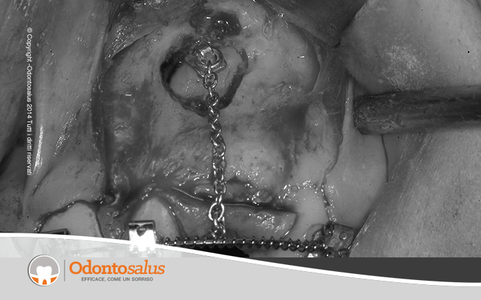 agganciocaninoincluso06