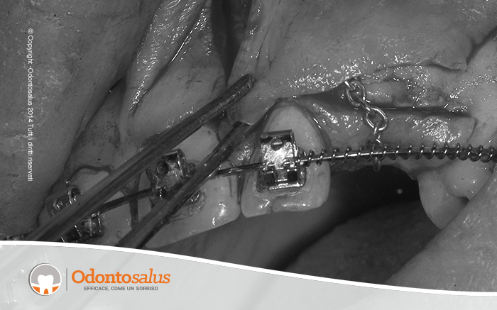 agganciocaninoincluso07