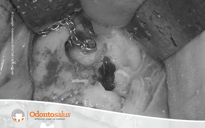 agganciocaninoincluso08