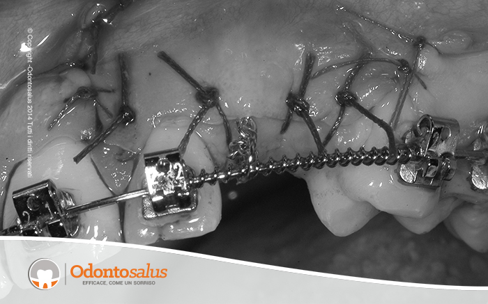 agganciocaninoincluso09